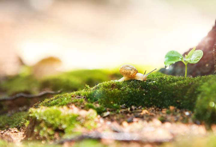 environment2